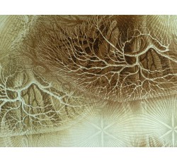 Hedvábí - hedvábná šatovka 2477 listová textura