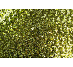Flitrové látky - olivově zelená flitrová látka margot
