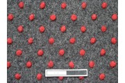 kabátovka vařená vlna šedá červené puntíky