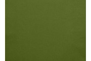 Kostýmovky - bistreč 80 hráškově zelený