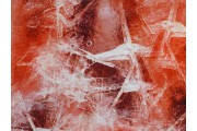 hedvábná šatovka 2481 červený vzor