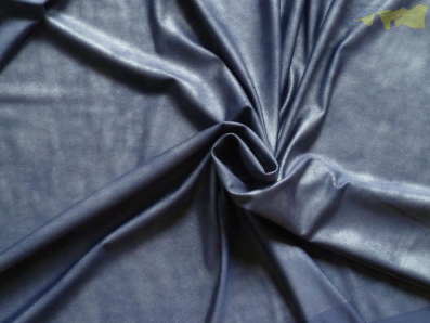 modrý úplet reptylia na fitness