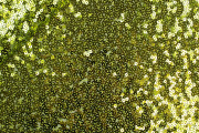 olivově zelená flitrová látka margot