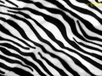 kožešinová látka muton vzor zebra
