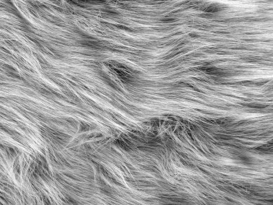 šedá kožešina fantasy s dlouhým vlasem