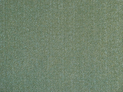 zelená společenská látka se stříbrnými glittery 48