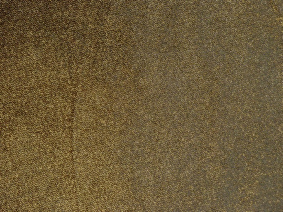 černý velur s leskem