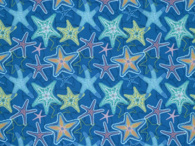 modrá plavkovina Navy mořské hvězdice